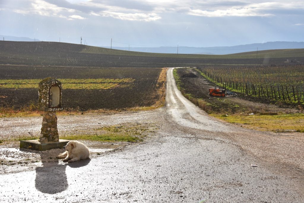 Azienda agricola Dragone nei dintorni di Matera